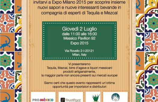 agave-experience
